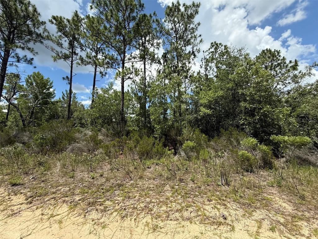 187 Paris St., Interlachen, FL 32148