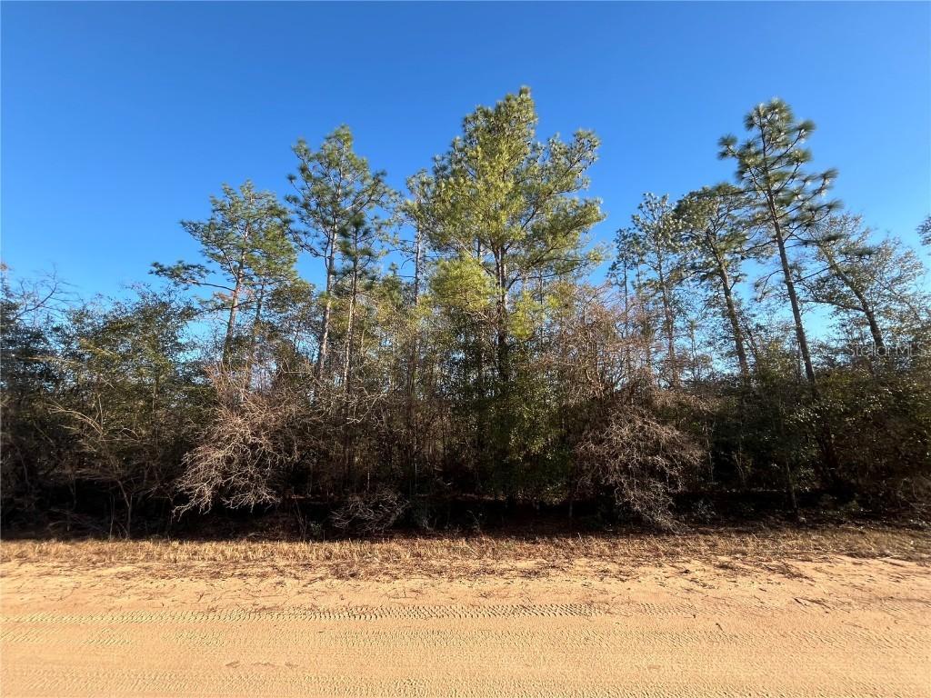 Goreville Ave., Alford, FL 32420
