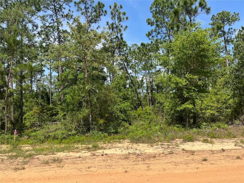 Holly Springs Ave., Alford, FL 32420