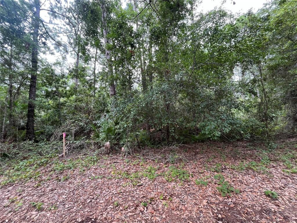 223 Ward Ave., Crescent City, FL 32112