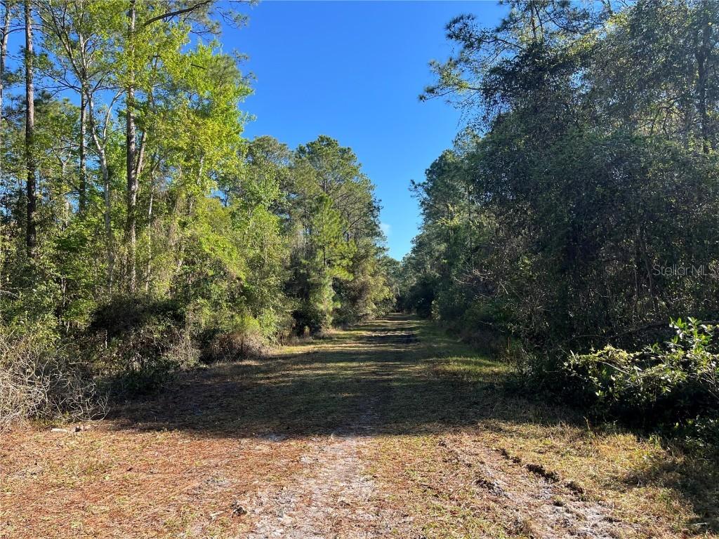 208 SE 3rd St., Georgetown, FL 32139