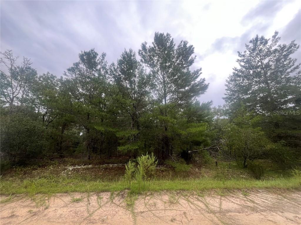 206 Wales St., Interlachen, FL 32148