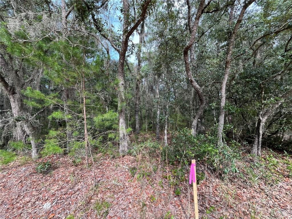 304 Gloria Ave., Interlachen, FL 32148