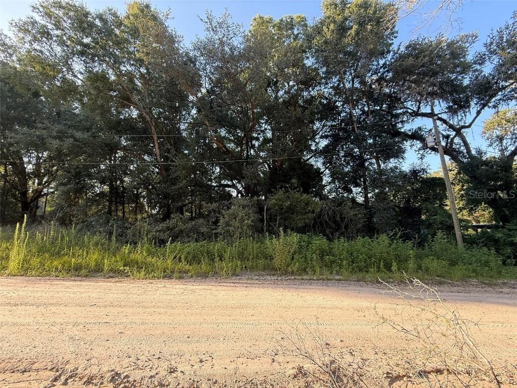Lot #11 104th Ln., Dunnellon, FL 34432