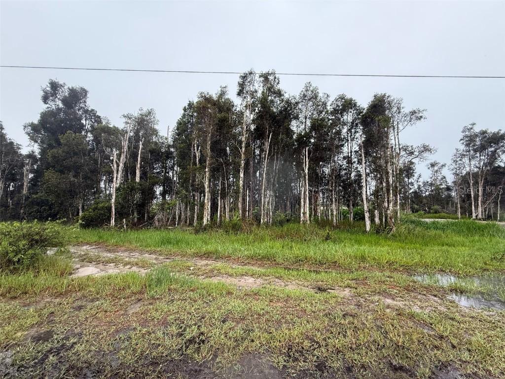 3130 Meadow Rd., Lehigh Acres, FL 33974