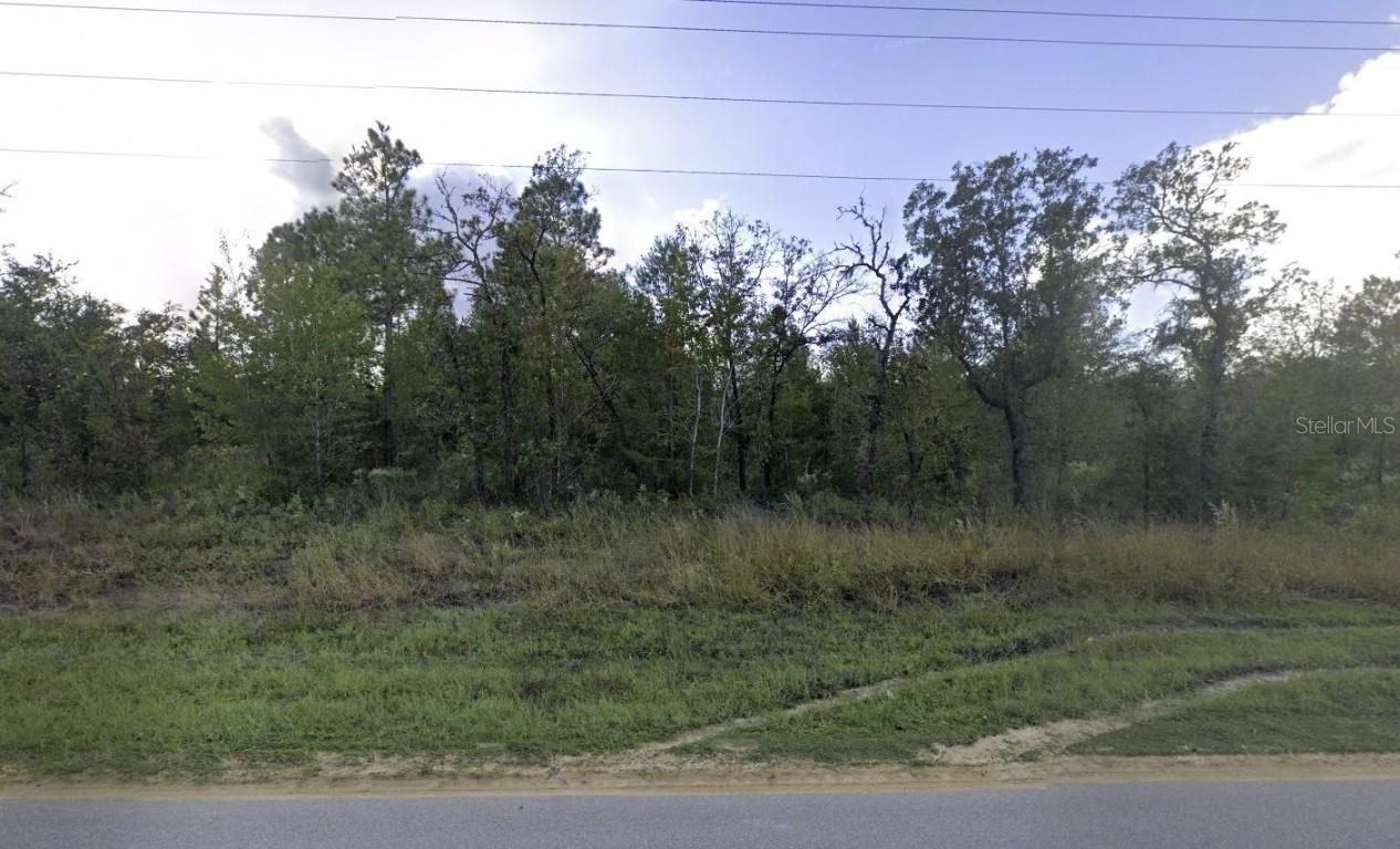 1504 Lakeview Tr., Interlachen, FL 32148