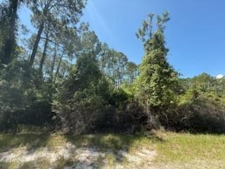 337 Palm Way, Georgetown, FL 32139