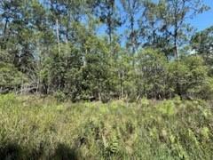 210 SE 2nd St., Georgetown, FL 32139