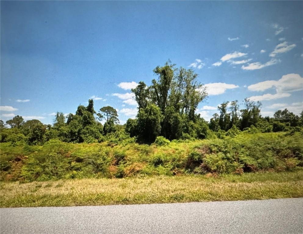 449 Hallmark Ave., Lake Placid, FL 33852