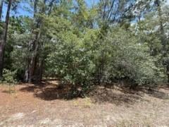 109 Pinellas St., Florahome, FL 32140