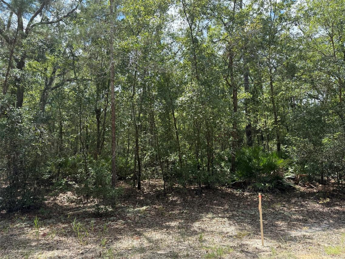 109 Pinellas St., Florahome, FL 32140