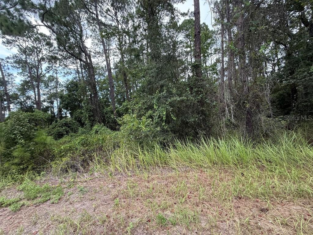Locust Pl Ct., Ocala, FL 34472