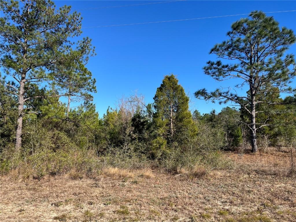 Fairview Rd., Marianna, FL 32448