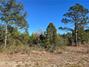 New Homes For Sale This Week in Marianna: August 22nd to August 28th