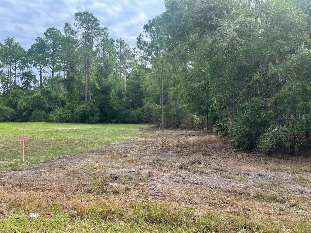 122 Glenside St., Georgetown, FL 32139