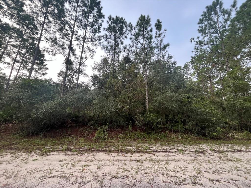 119 Gardenia Ave., Georgetown, FL 32139