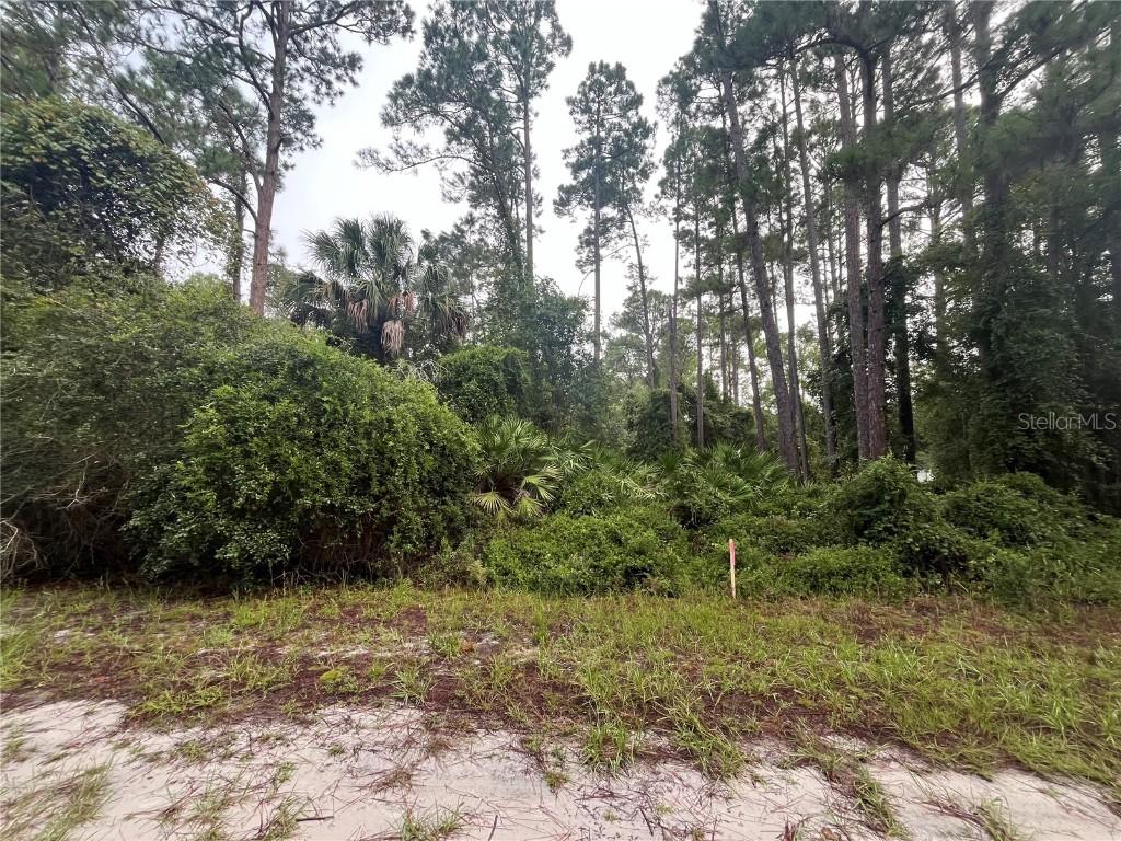 120 Gardenia Ave., Georgetown, FL 32139