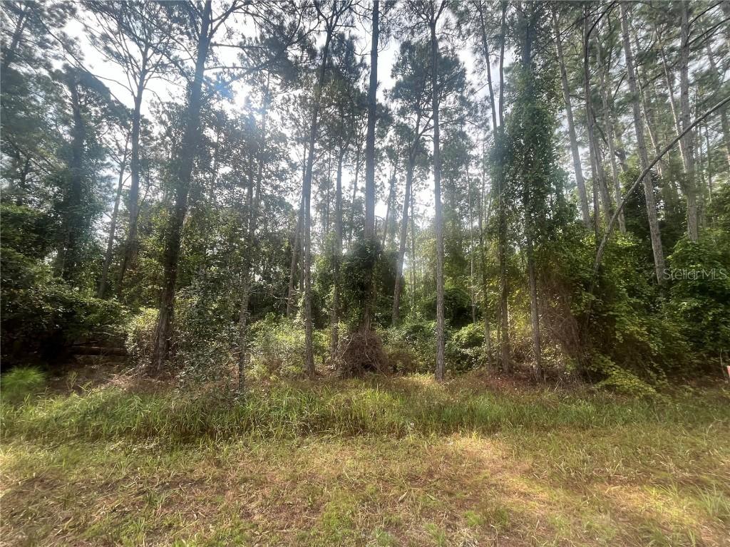 107 Pine Ave., Georgetown, FL 32139
