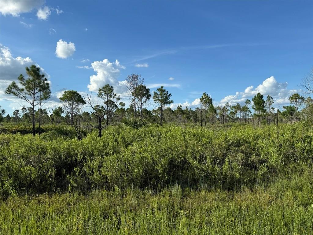 15827 NW 272nd St., Okeechobee, FL 34972