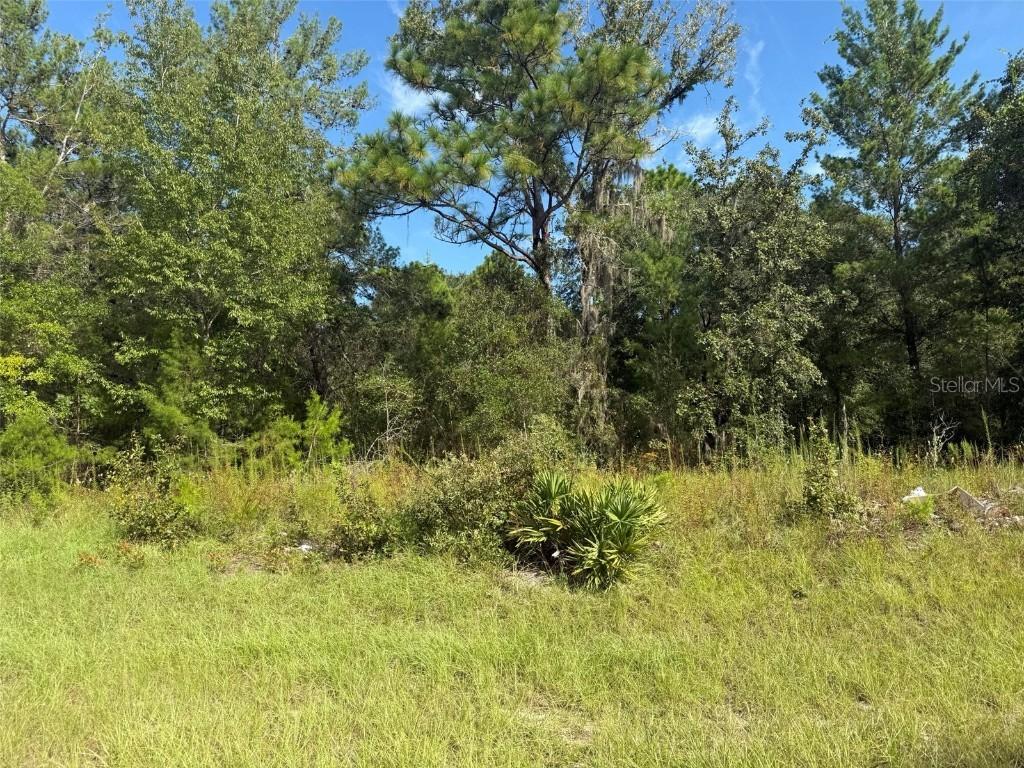 79th Terrace Rd., Dunnellon, FL 34432