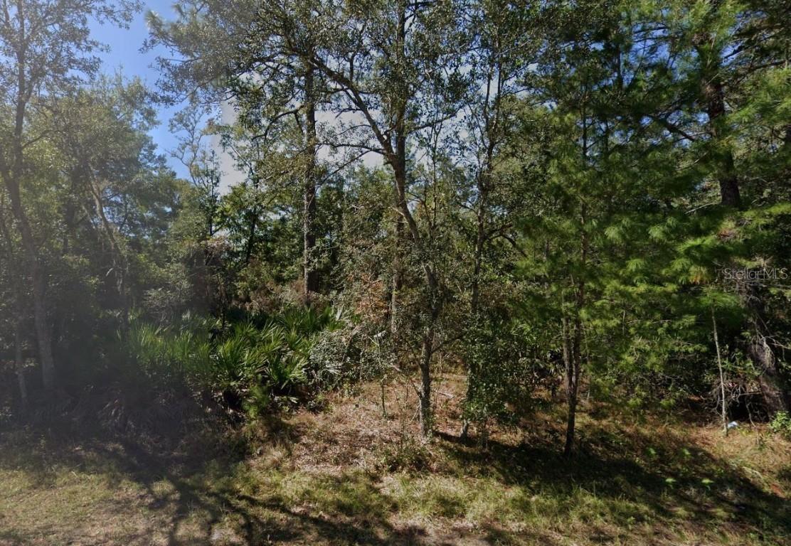 TBD Theresa Ave., Interlachen, FL 32148