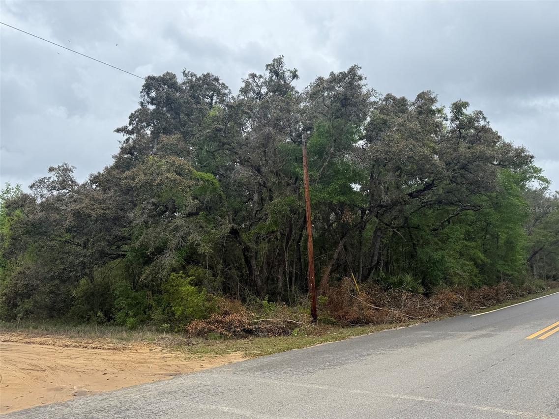 TBD Theresa Ave., Interlachen, FL 32148