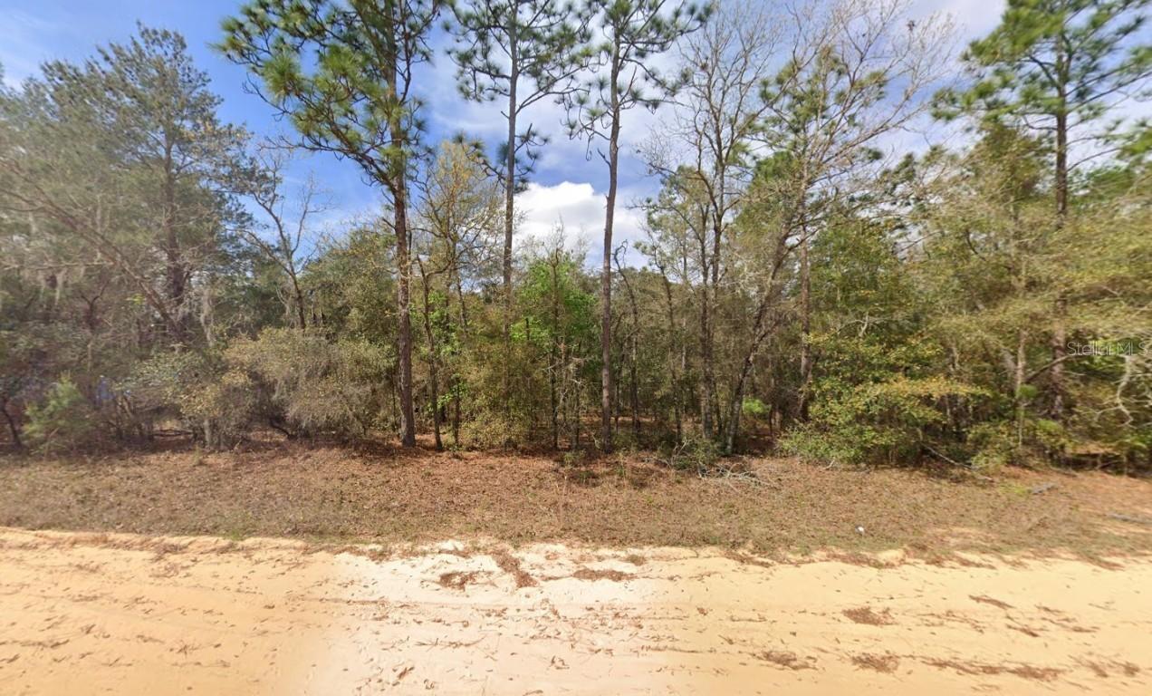 Brett Ave., Interlachen, FL 32148