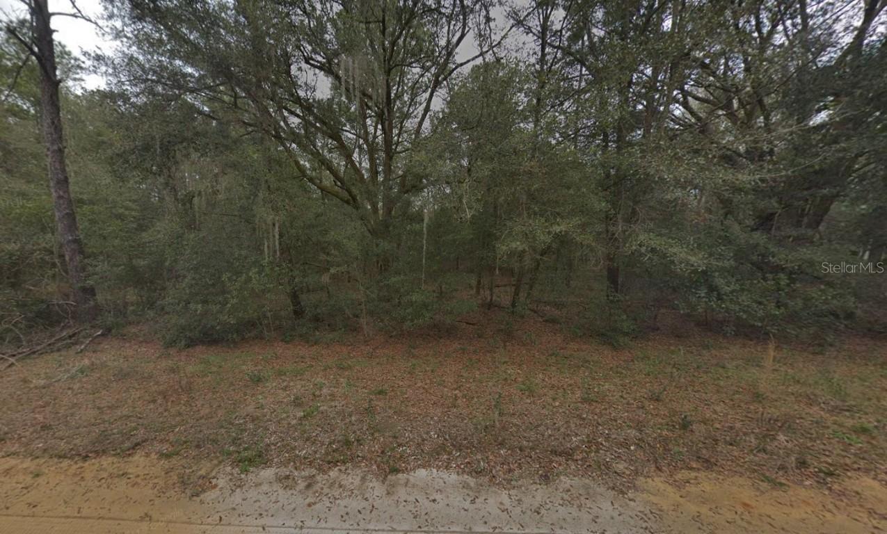Kennedy Ave., Interlachen, FL 32148
