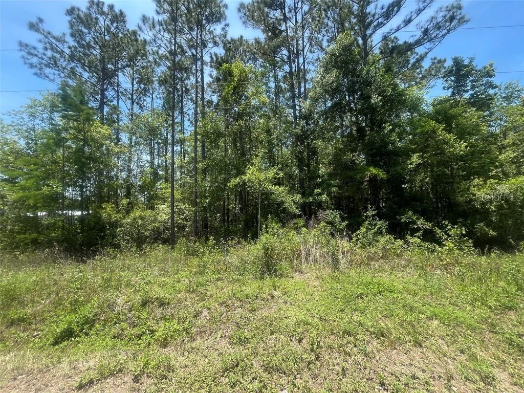 10445 Amos Ave., Hastings, FL 32145