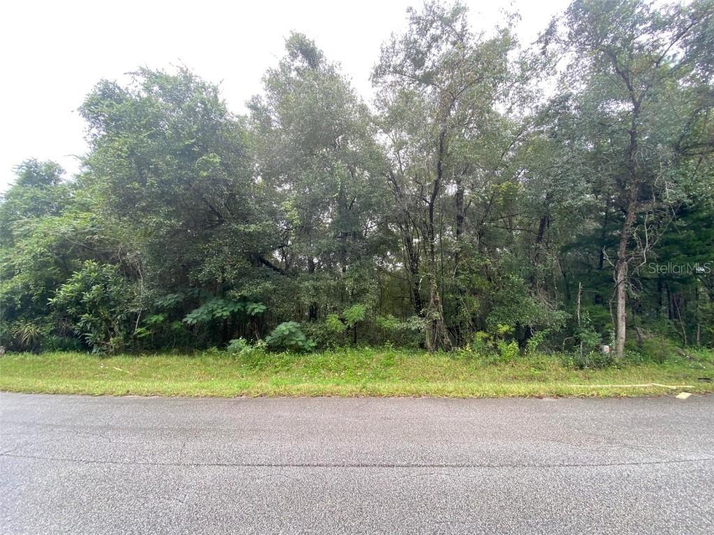 425 E Elgrove Dr., Citrus Springs, FL 34434