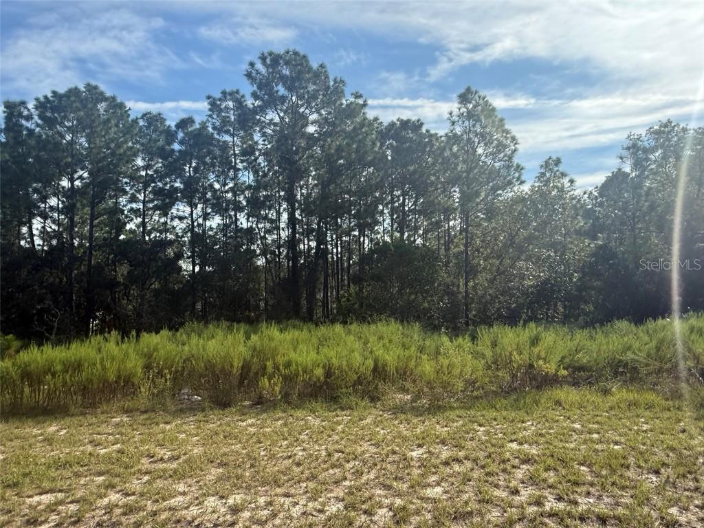 tbd 135th Street Rd., Ocala, FL 34473