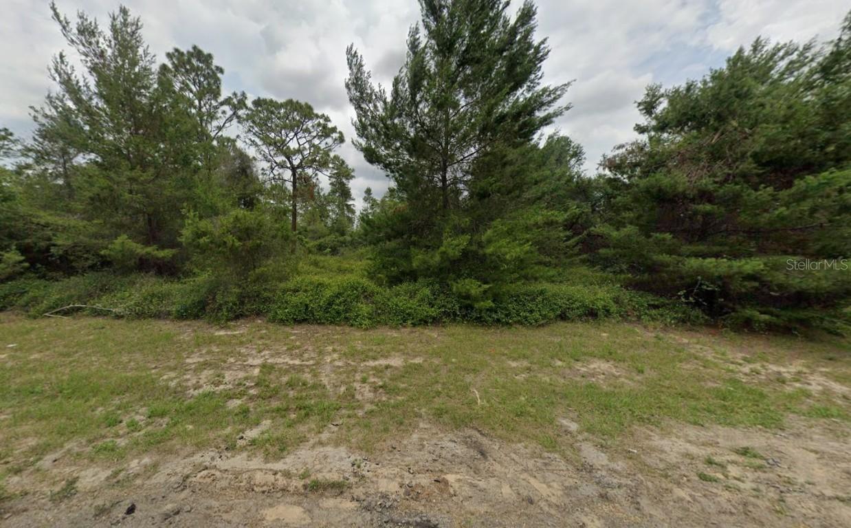 TBD 177th Pl Rd., Ocala, FL 34473