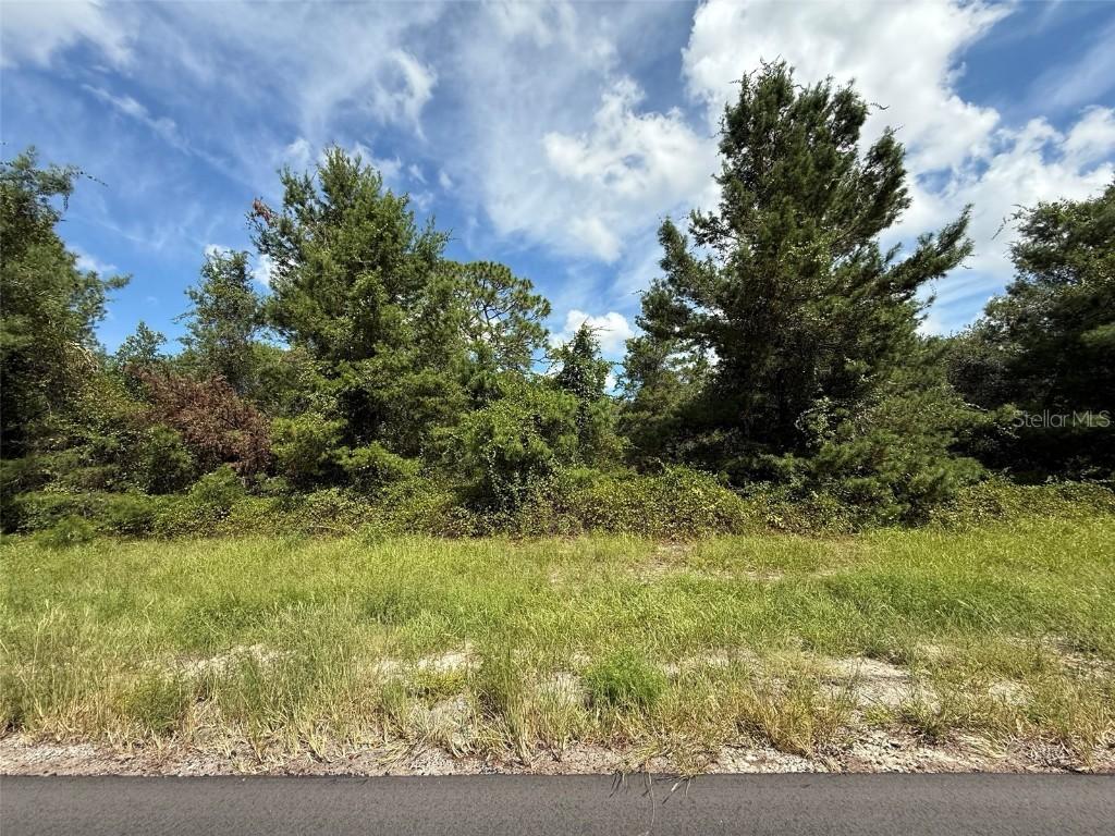 TBD 177th Pl Rd., Ocala, FL 34473