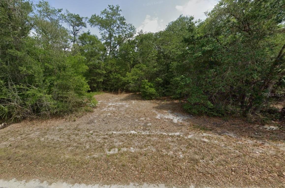 9793 N Alder Ave., Crystal River, FL 34428