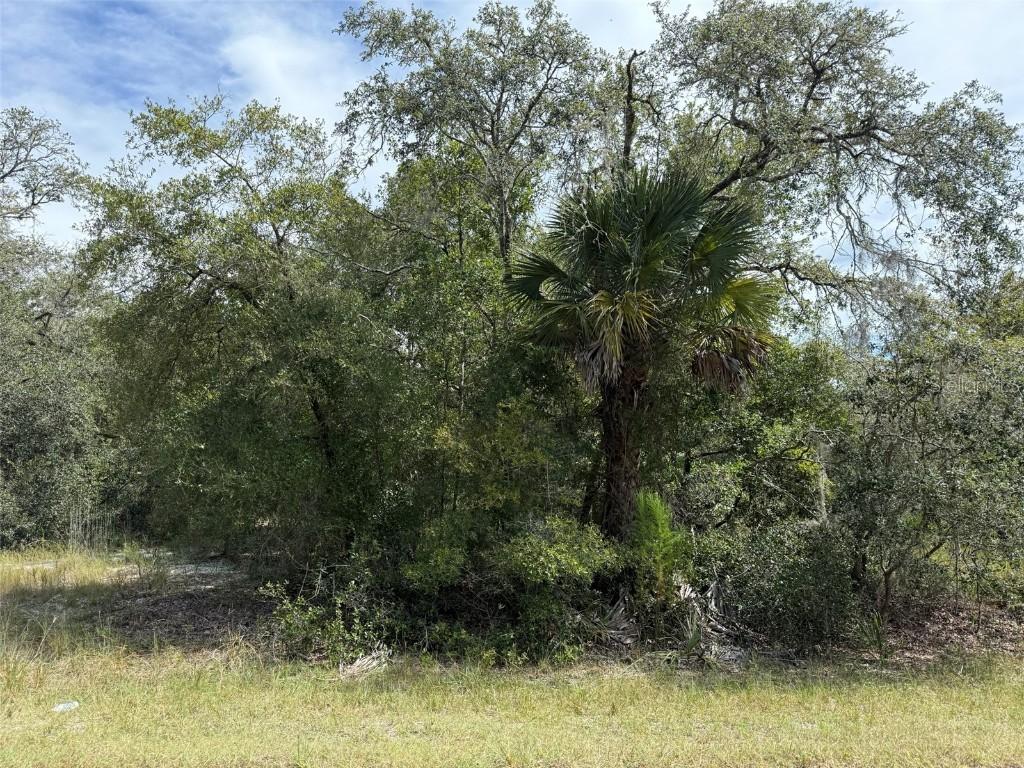 9793 N Alder Ave., Crystal River, FL 34428