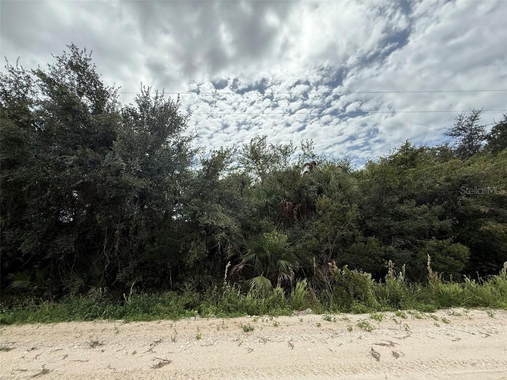 17532 NW 320th St., Okeechobee, FL 34972