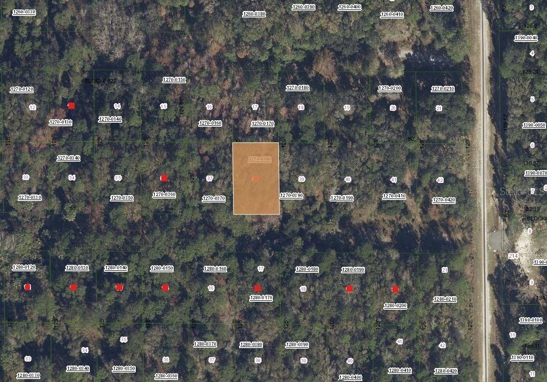 332 Laisy Dr., Georgetown, FL 32139