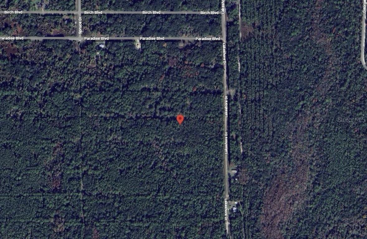 329 Chipola Dr., Georgetown, FL 32139