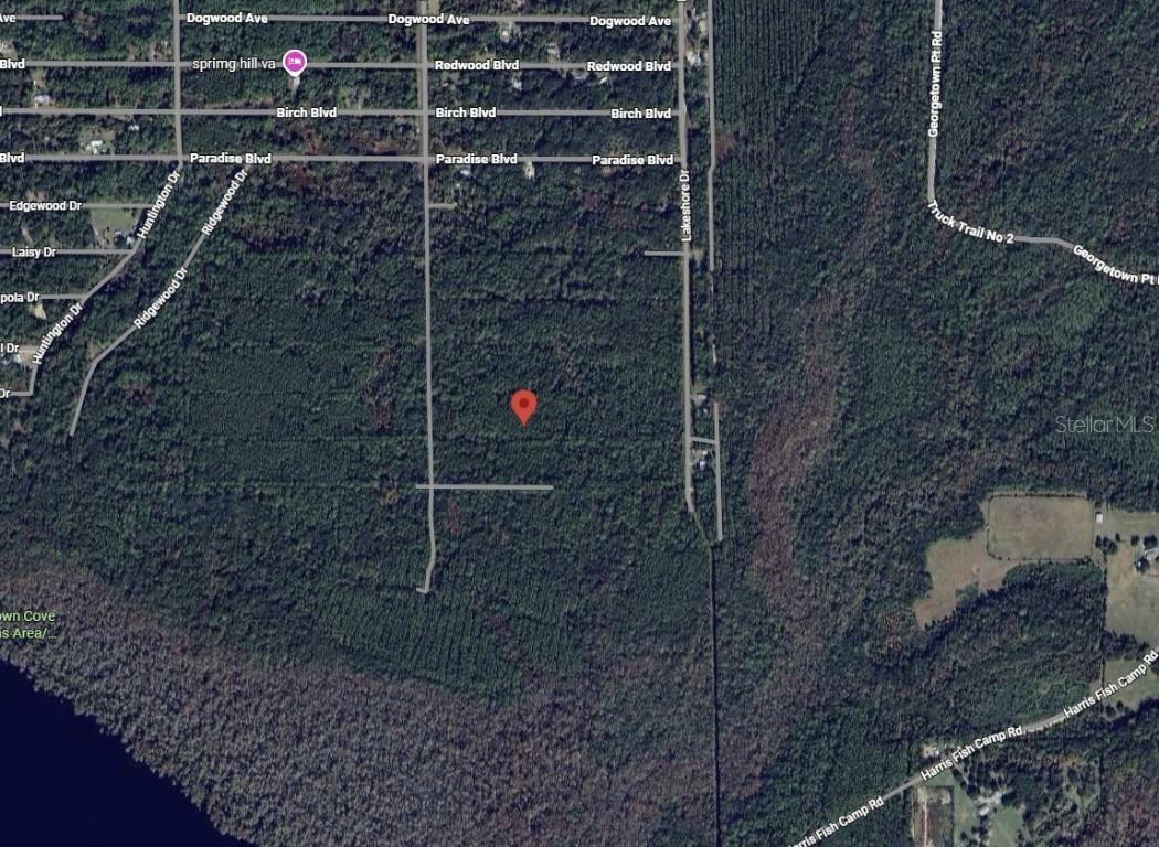 214 Garrison Ave., Georgetown, FL 32139