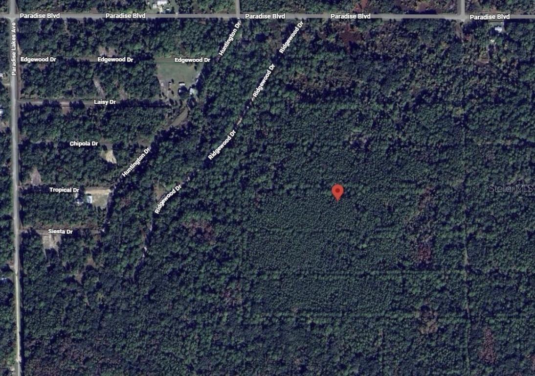 317 Tropical Dr., Georgetown, FL 32139