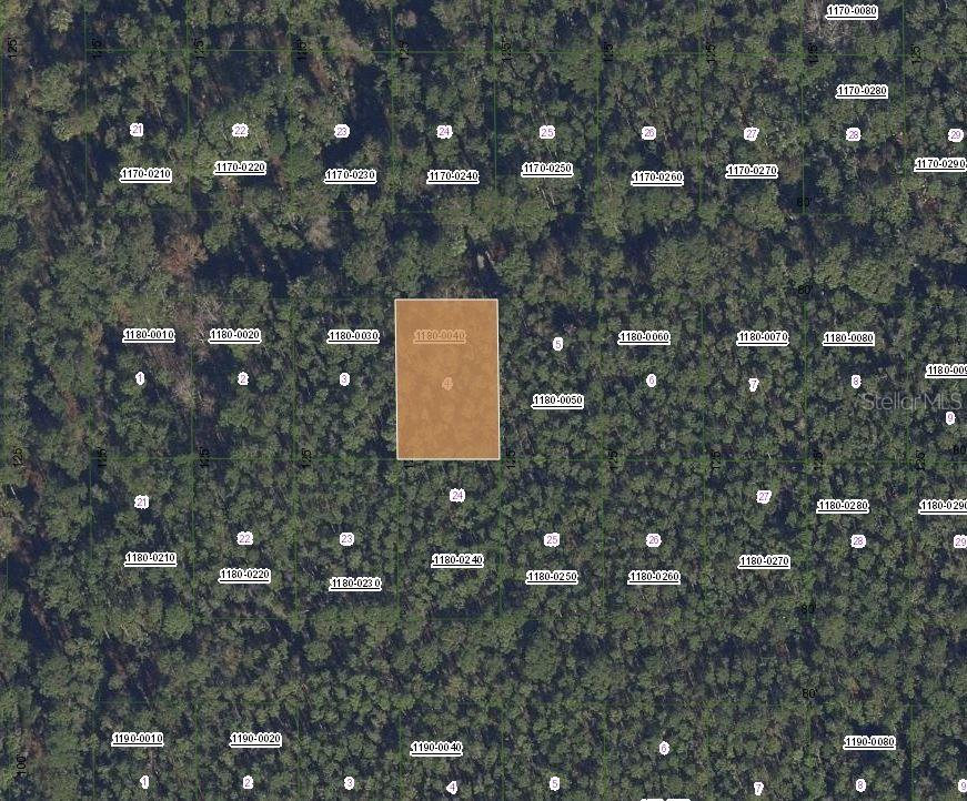 307 Tropical Dr., Georgetown, FL 32139