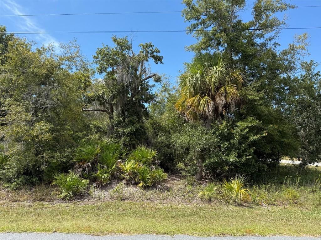 9920 N Pink Moss Point, Crystal River, FL 34428