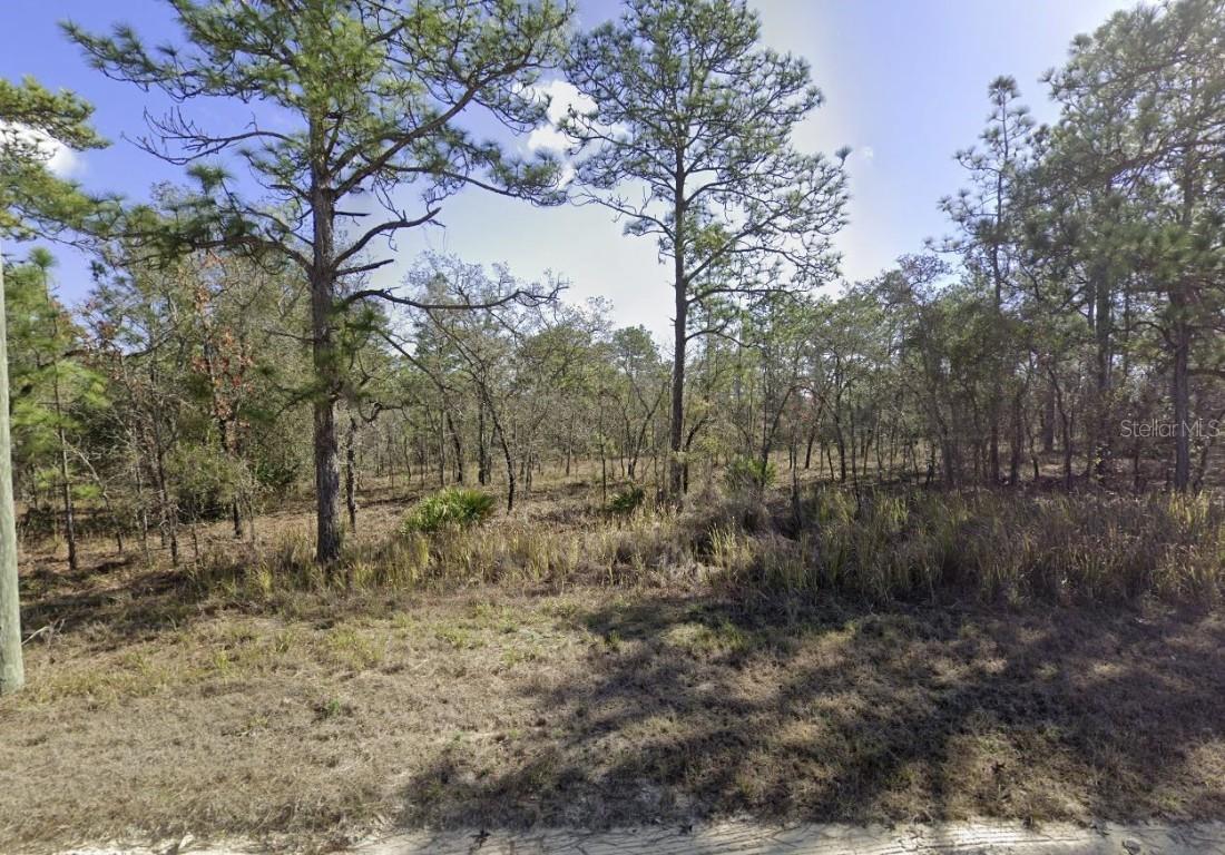 15222 Wine Dr., Weeki Wachee, FL 34614