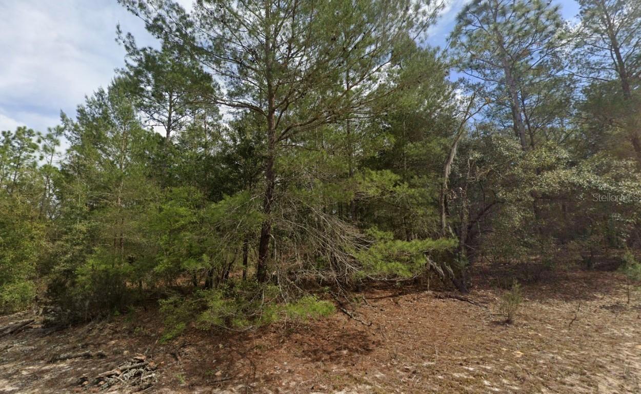 522 Janet Ave., Interlachen, FL 32148
