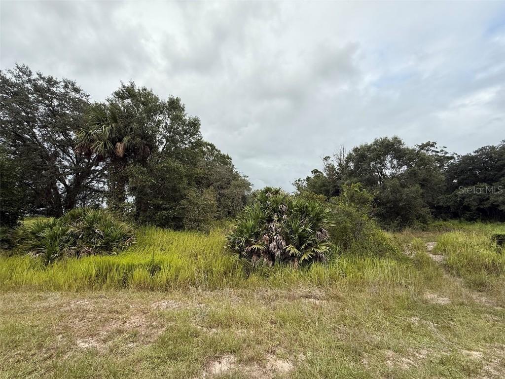 18417 NW 254th St., Okeechobee, FL 34972