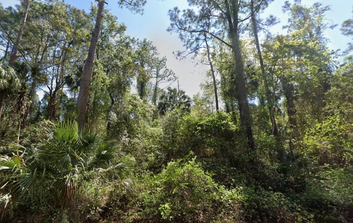 303 Siesta Dr., Georgetown, FL 32139