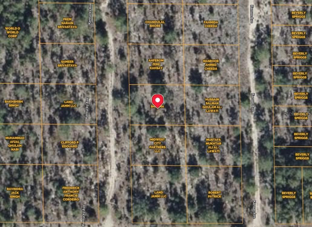 108 Kentucky, Hawthorne, FL 32640