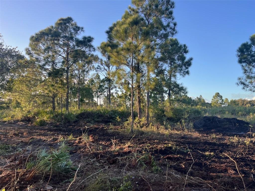 15417 NW 310th St., Okeechobee, FL 34972