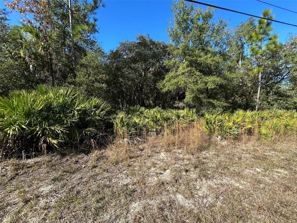 632 N Dunkenfield Ave., Crystal River, FL 34429