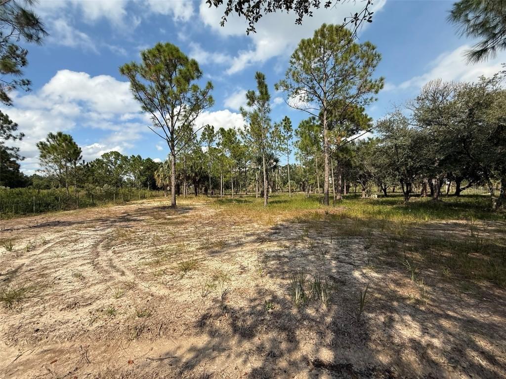 15838 NW 312th St., Okeechobee, FL 34972